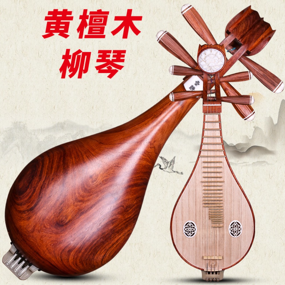 Hye-eun 10-calowa Kryształowa  – Musical Instrument Types recenzja i cena