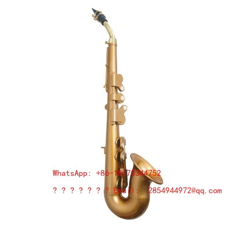 Saksofon żywiczny, instrument  – Musical Instrument Easy To Learn recenzja i cena