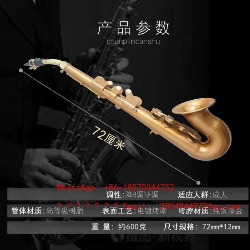 Saksofon żywiczny, instrument  – Musical Instrument Easy To Learn recenzja i cena