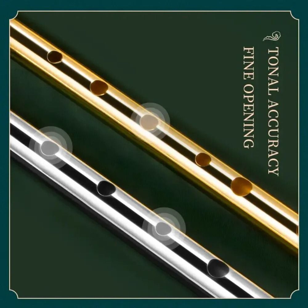 Flet irlandzki C/D, 6 otworów, – Musical Instrument Easy To Learn recenzja i cena