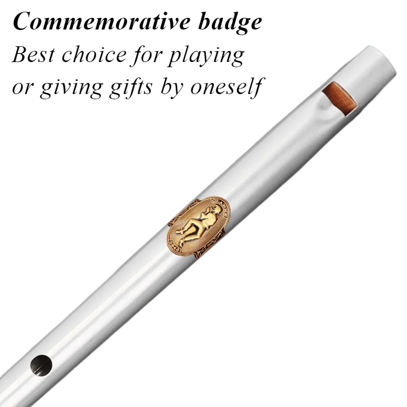 Flet blaszany D/C dla początku – Tin Whistle Flute recenzja i cena