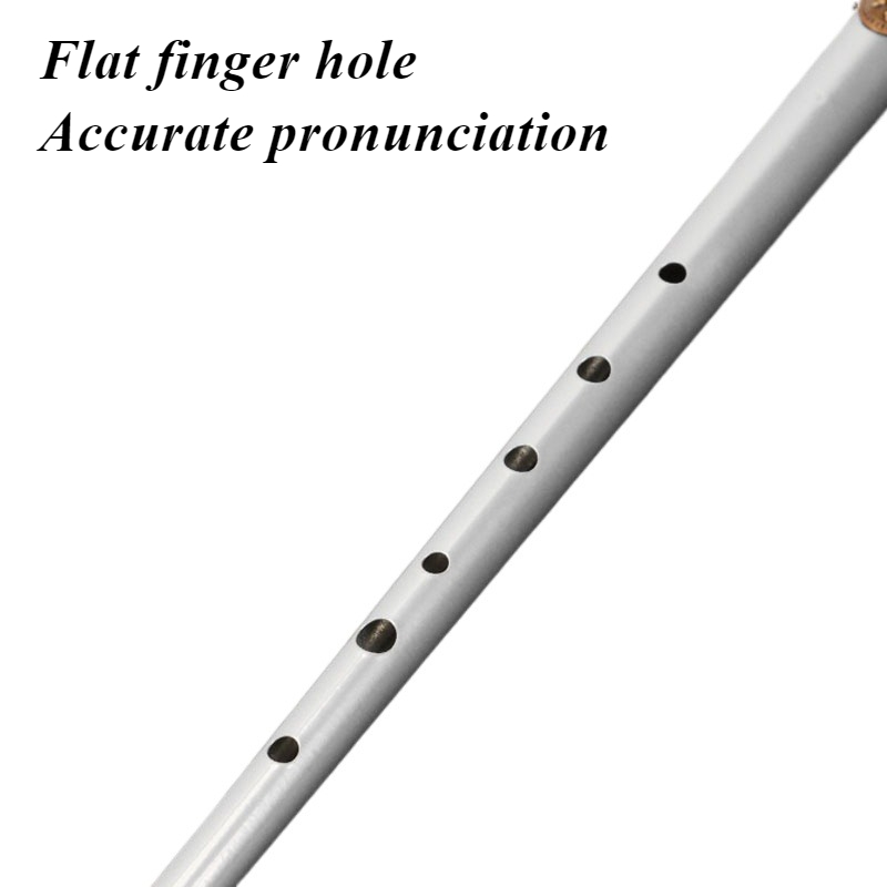 Flet blaszany D/C dla początku – Tin Whistle Flute recenzja i cena